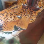 Casa Kiki *
